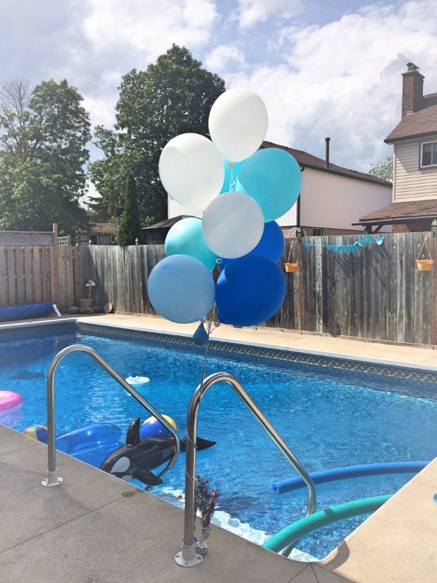 thumbnail_IMG_3551_Fotor