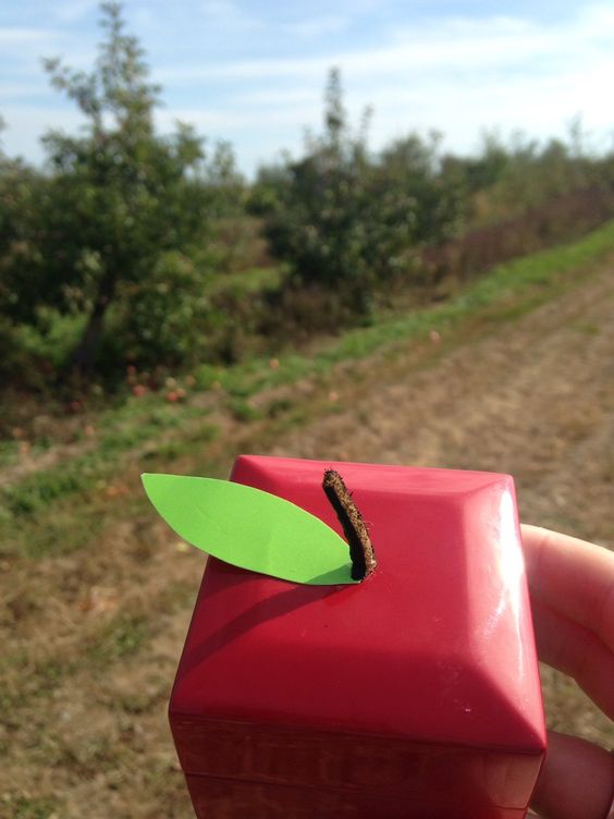 e61b03aed7dc378f37d40c8f47b88606